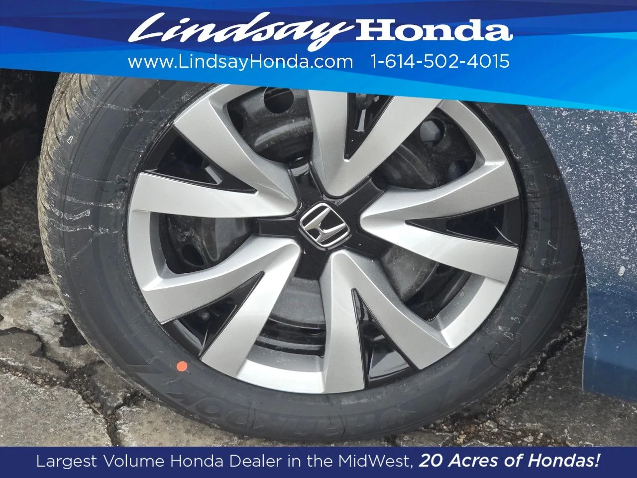 New 2026 Blue Lagoon Pearl Honda LX image 14