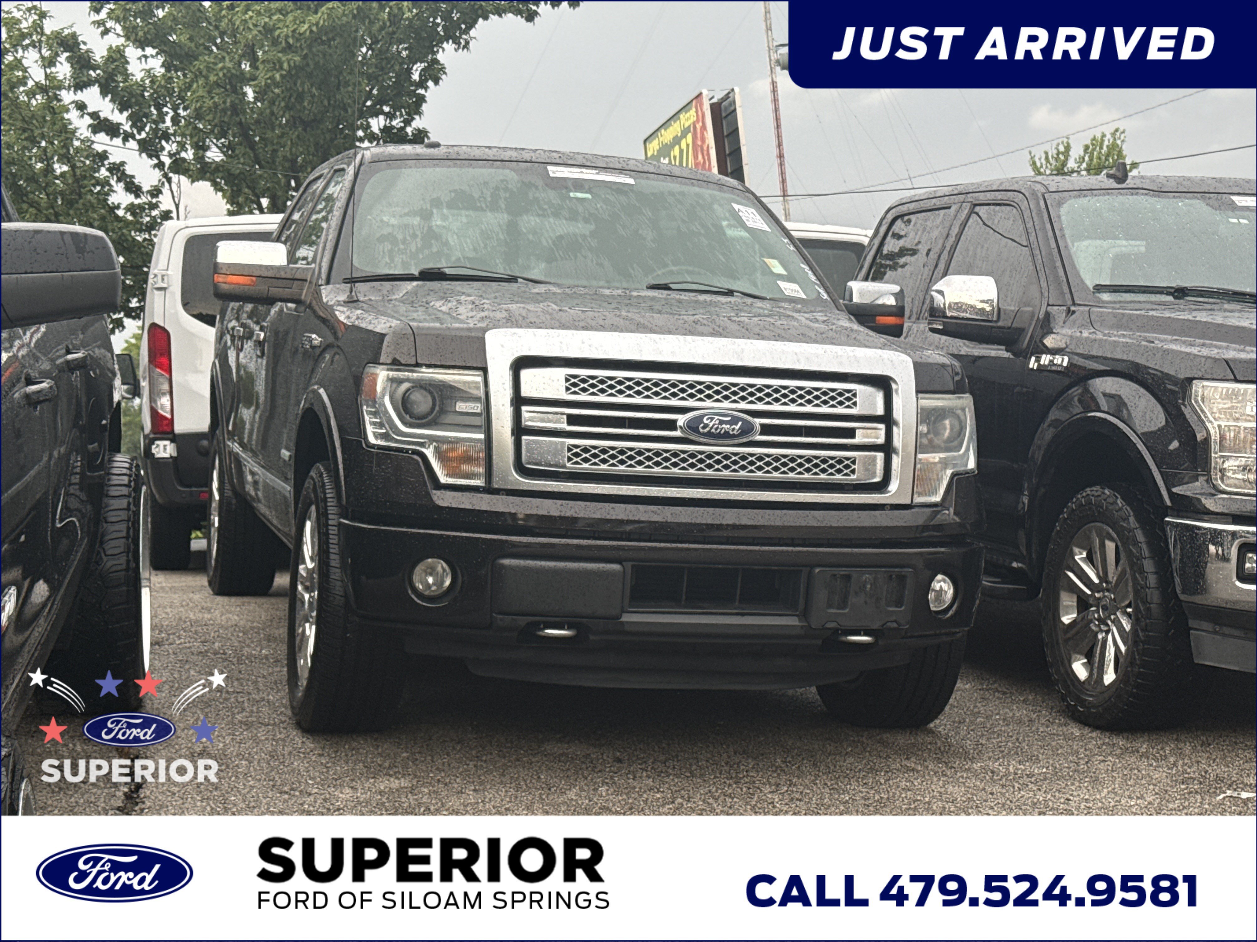 Used 2014 Brown Ford Platinum image 1