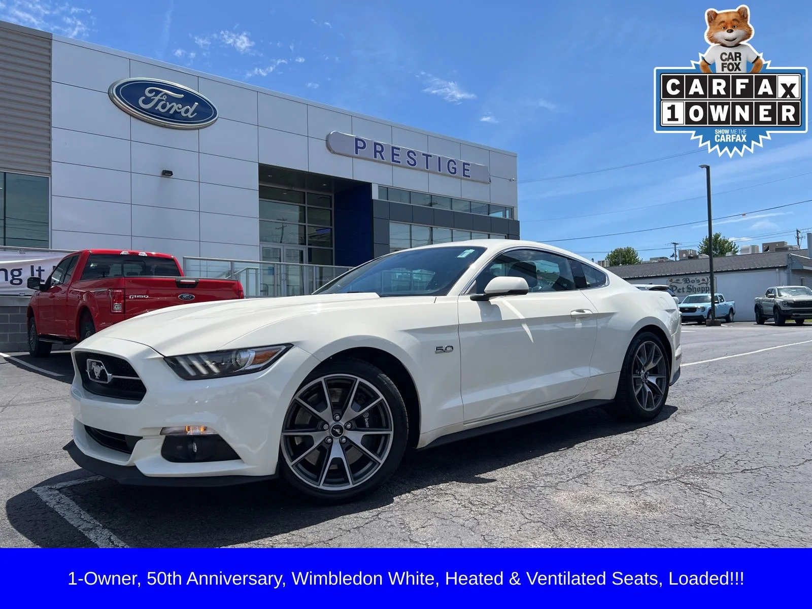 2015 Ford Mustang GT 50 Years Limited Edition's photo