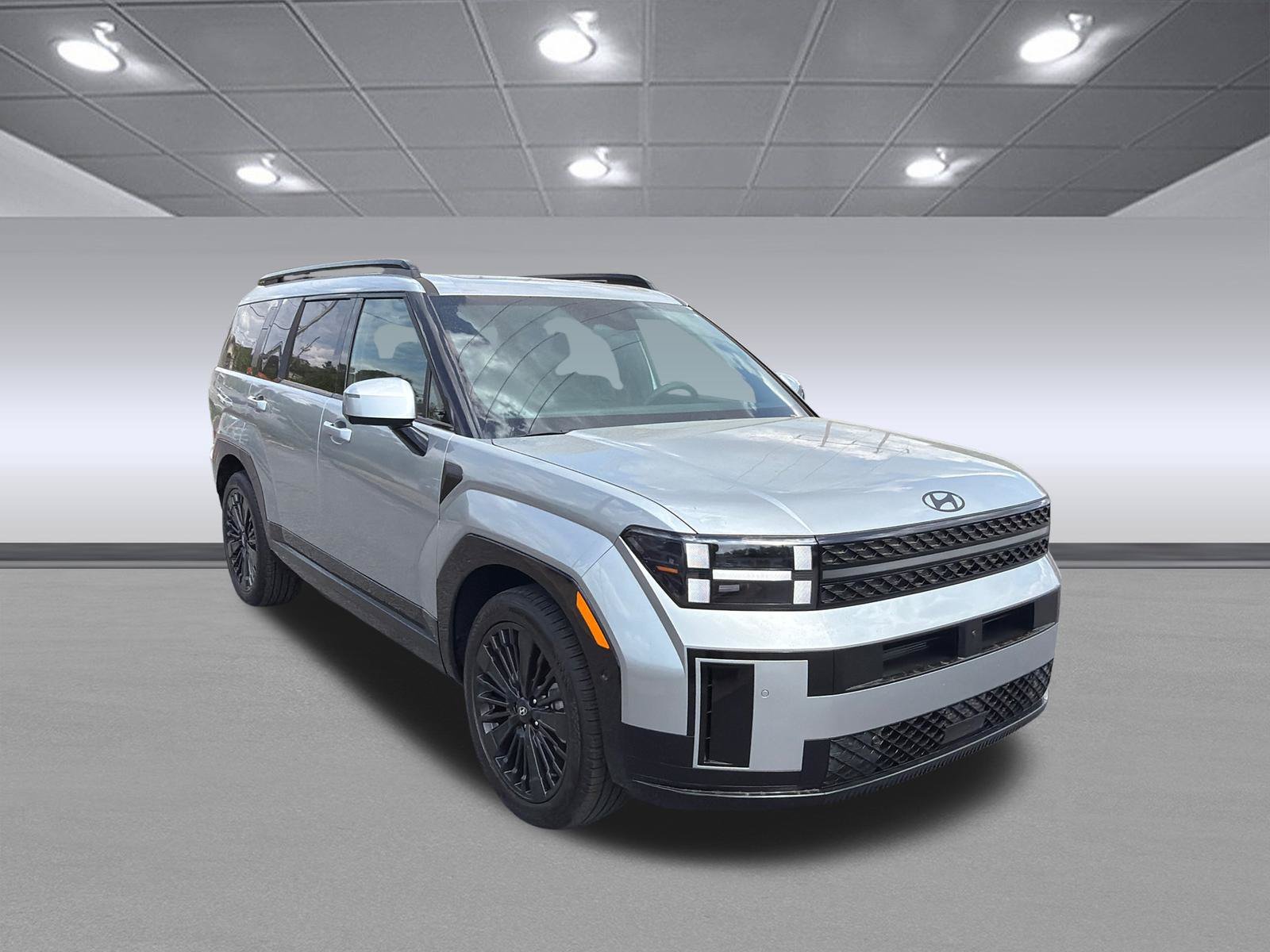 New 2026 Shimmering Silver Hyundai Calligraphy image 3