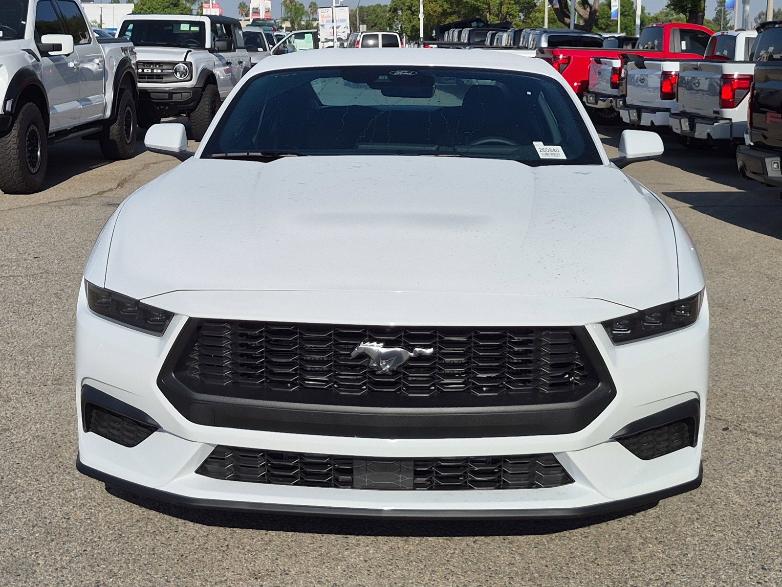 New 2026 Oxford White Ford EcoBoost® Fastback image 2