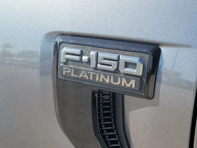New 2026 Gray Metallic Ford Platinum image 9