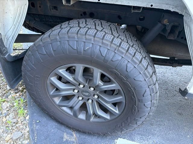 Used 2023 White Ford Tremor image 16