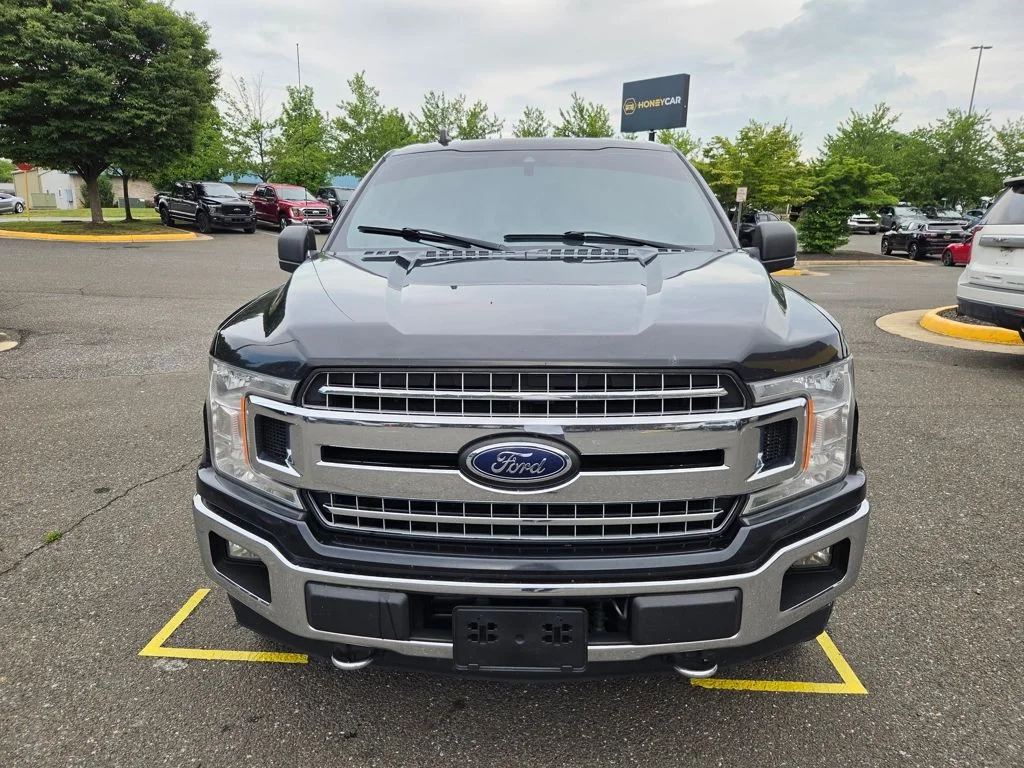 Used 2019 Blue Ford  image 2