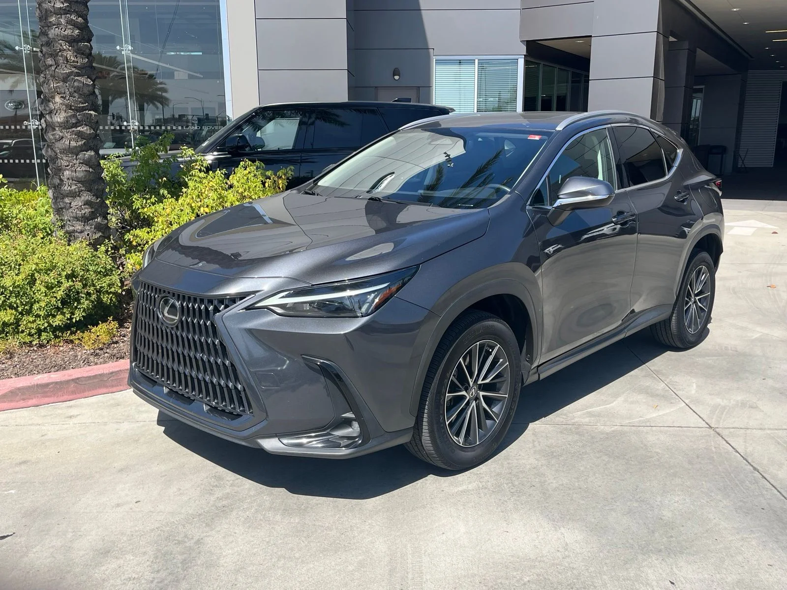 2022 Lexus NX 350h 350h AWD's photo