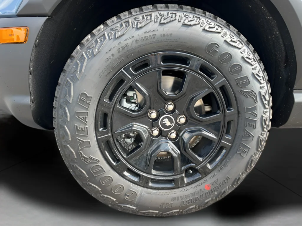 2025 Ford Bronco Sport Badlands - Photo 9