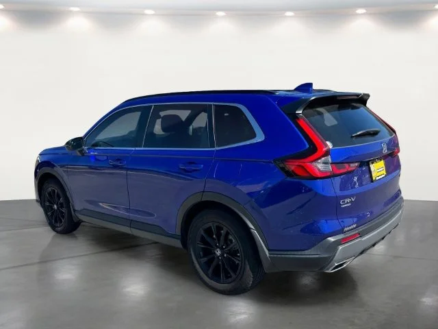Used 2023 Blue Honda Sport image 5