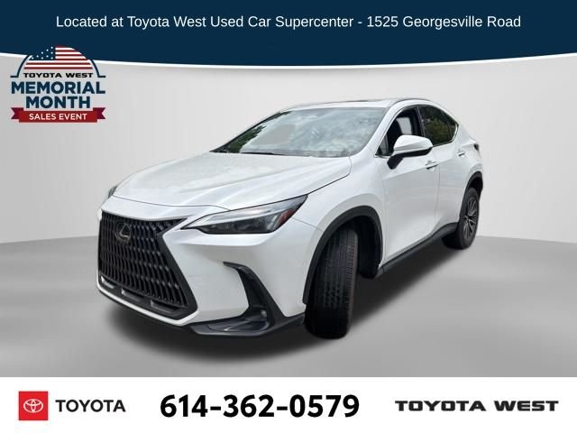 2023 Lexus NX 350h 350h AWD's photo