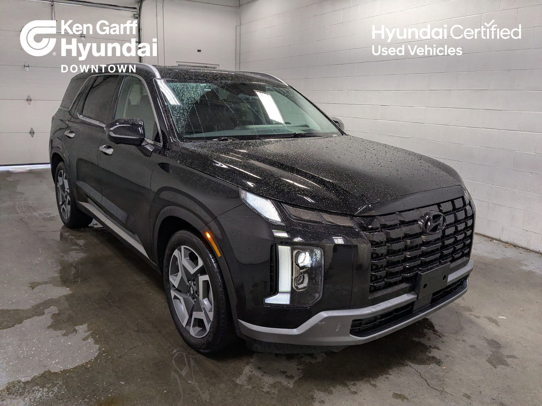 2025 Hyundai Palisade Limited AWD's photo