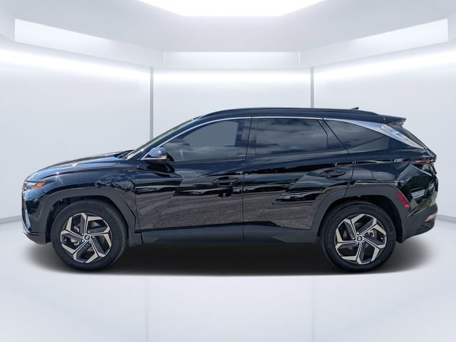 2024 Hyundai Tucson Limited - Photo 6