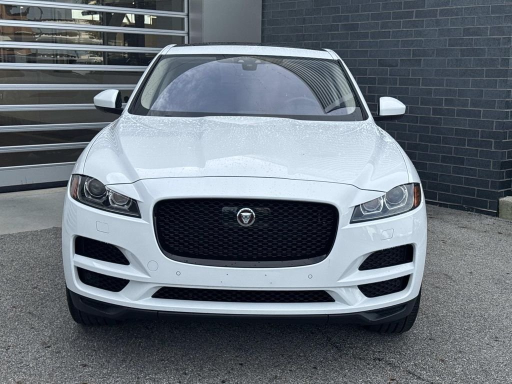 Used 2020 Fuji White Jaguar 25t Prestige image 2