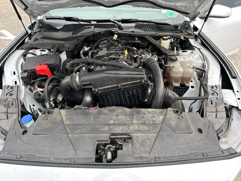 Used 2024 White Ford EcoBoost Premium image 21