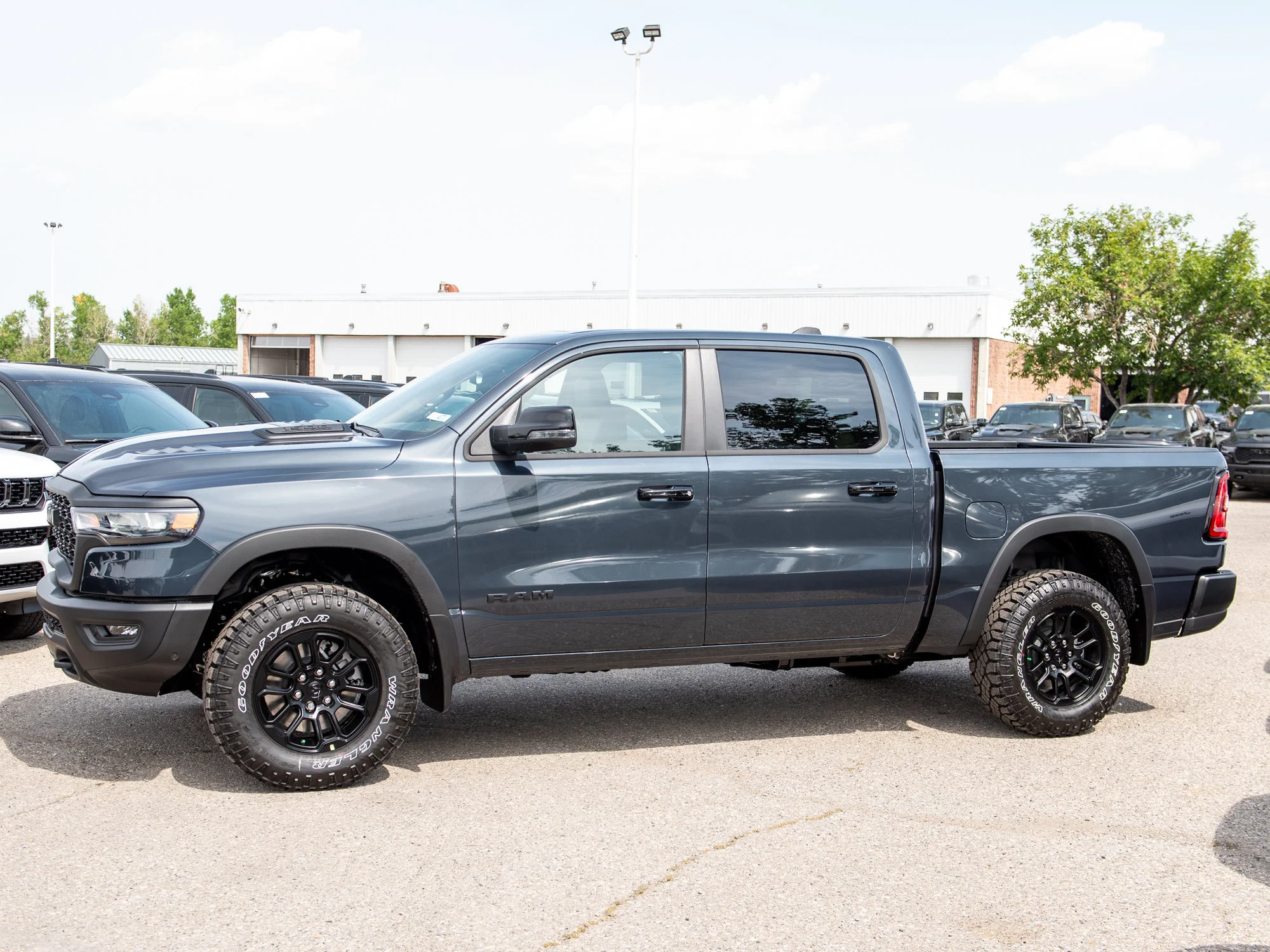 New 2026 Blue RAM Rebel* image 4