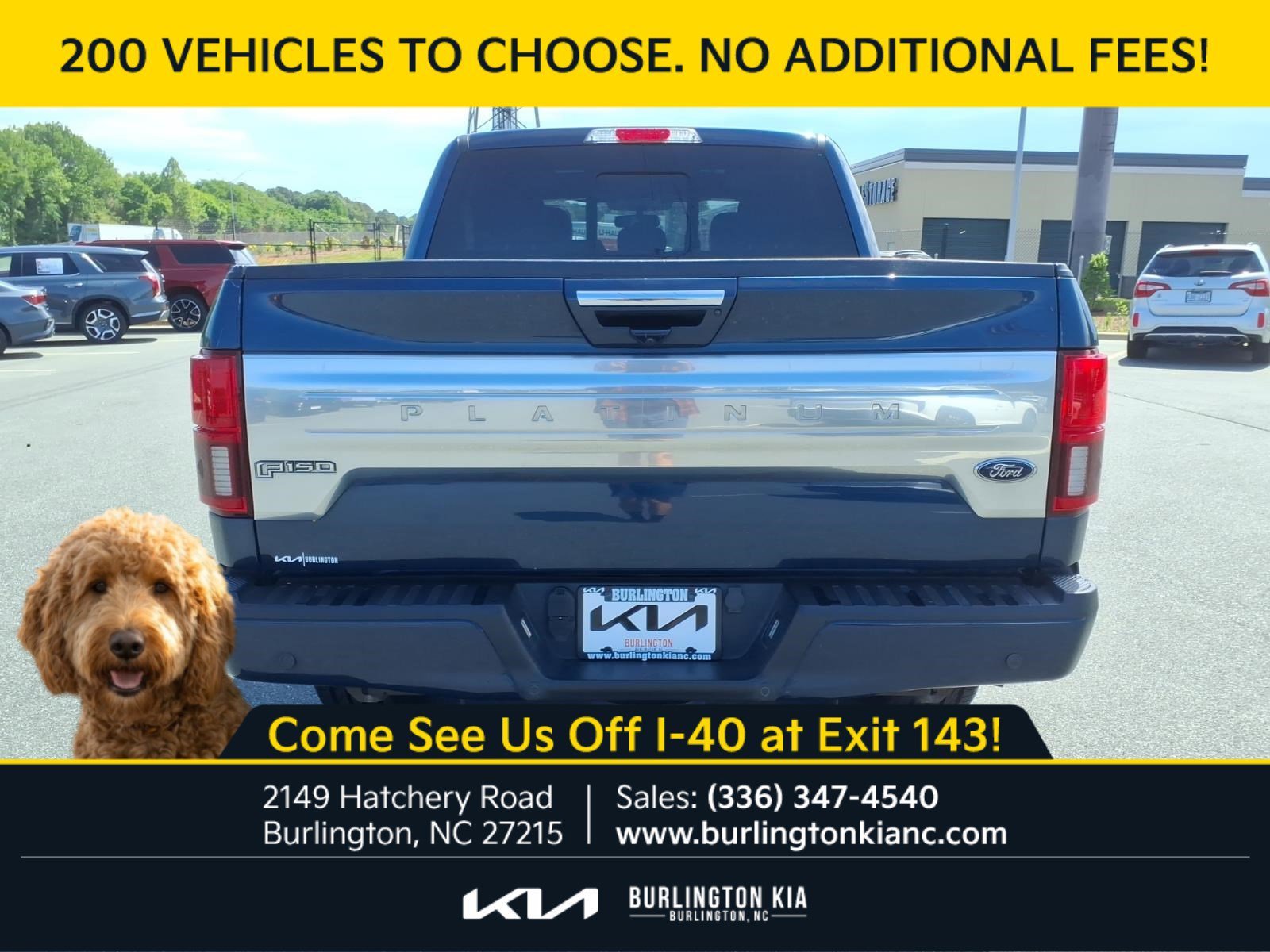 Used 2020 Blue Ford Platinum image 24
