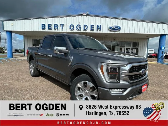 Used 2023 Gray Ford Platinum image 1