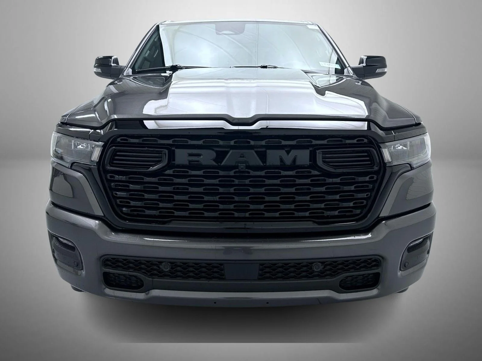 New 2026 Gray Ram Big Horn/Lone Star image 2