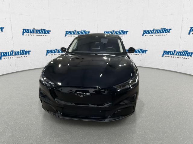 New 2026 Shadow Black Ford Premium image 4
