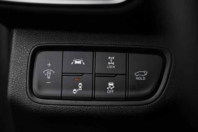 Used 2019 Rainforest Hyundai Limited image 19