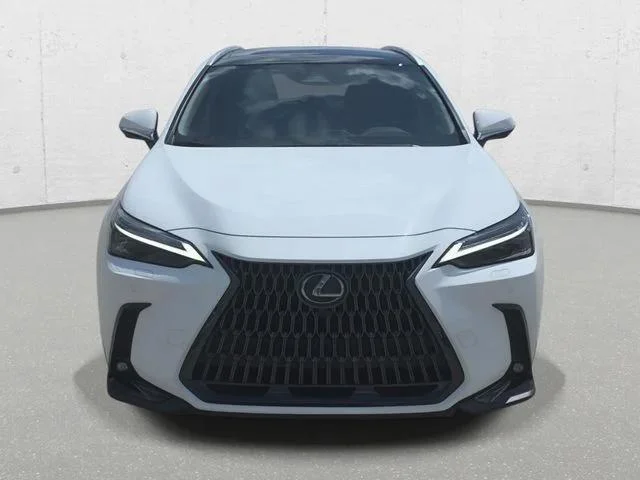 2026 Lexus NX 350 Luxury - Photo 9