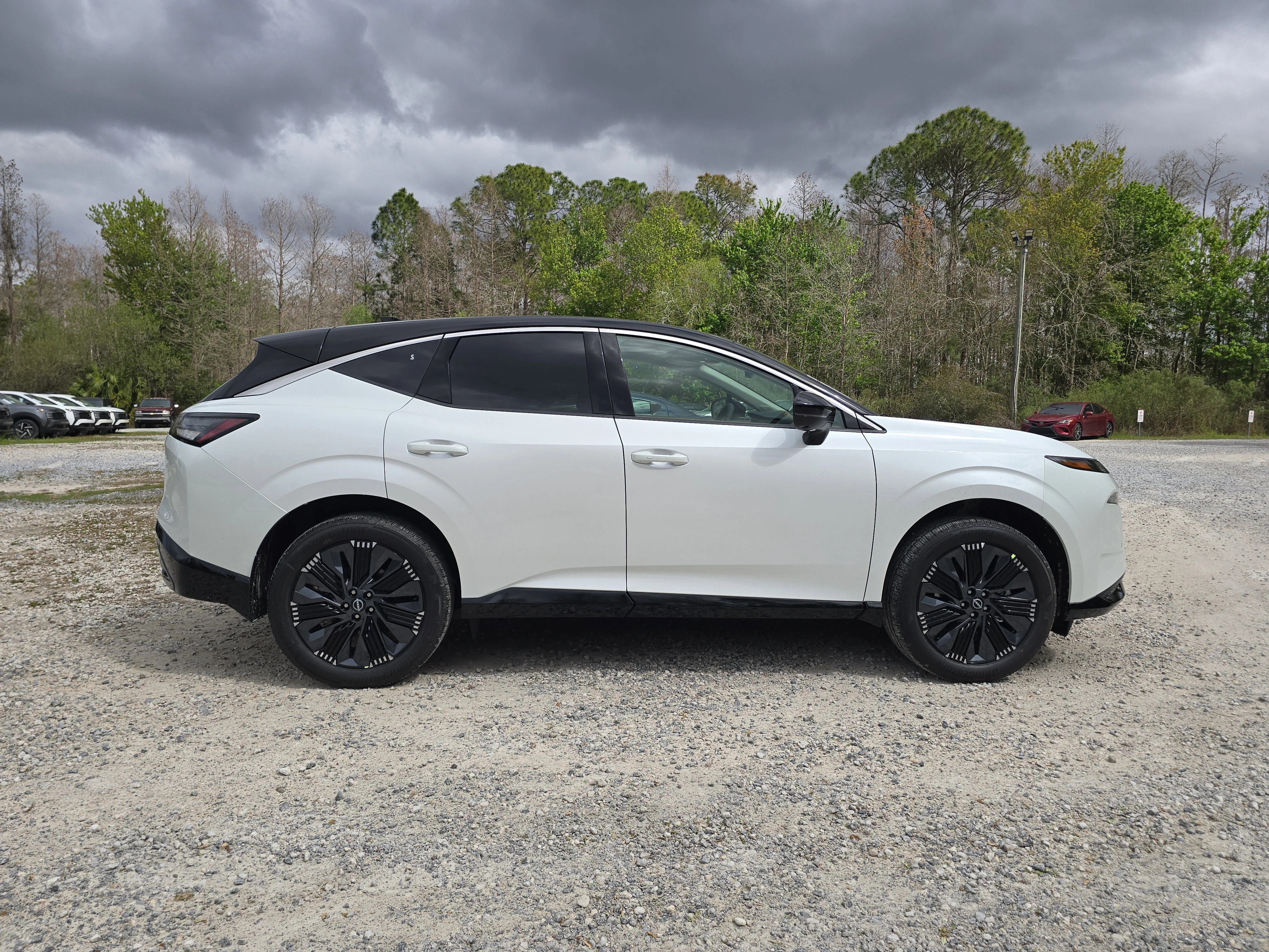 New 2026 Everest White Pearl TriCoat / Super Black Two-tone Nissan Platinum image 9