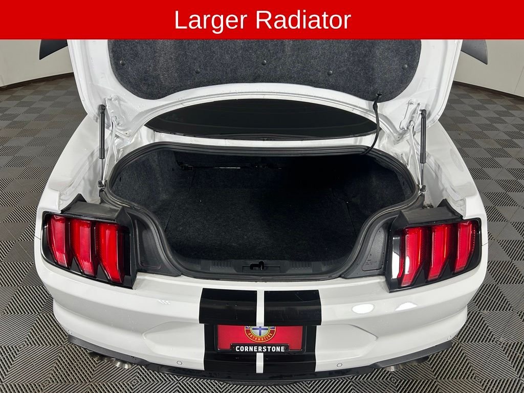 Used 2019 White Ford GT image 20