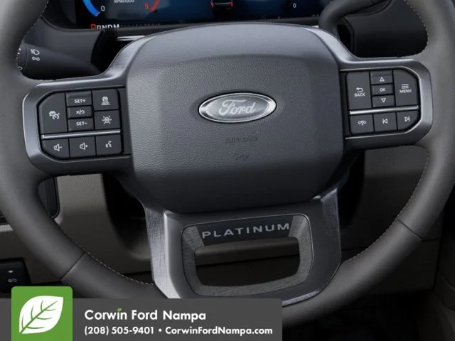 New 2027 Gray Ford  image 12