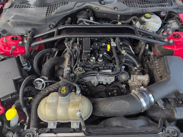 Used 2019 Red Ford EcoBoost image 19