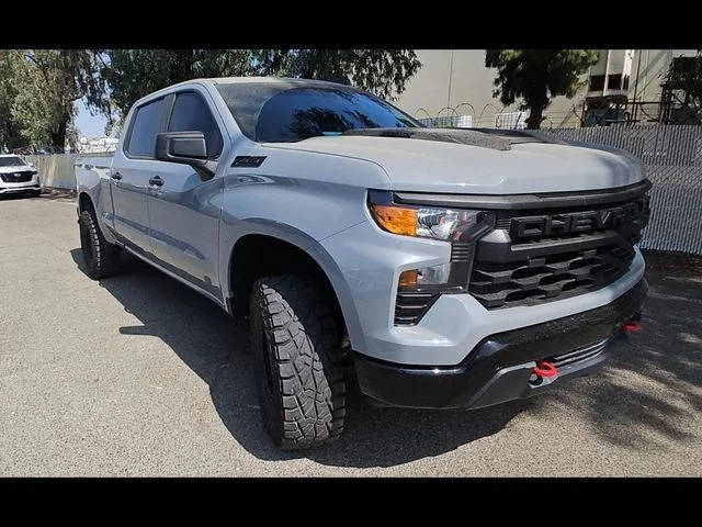 2024 Chevrolet Silverado 1500 Custom Trail Boss for sale at Leman's Chevy City