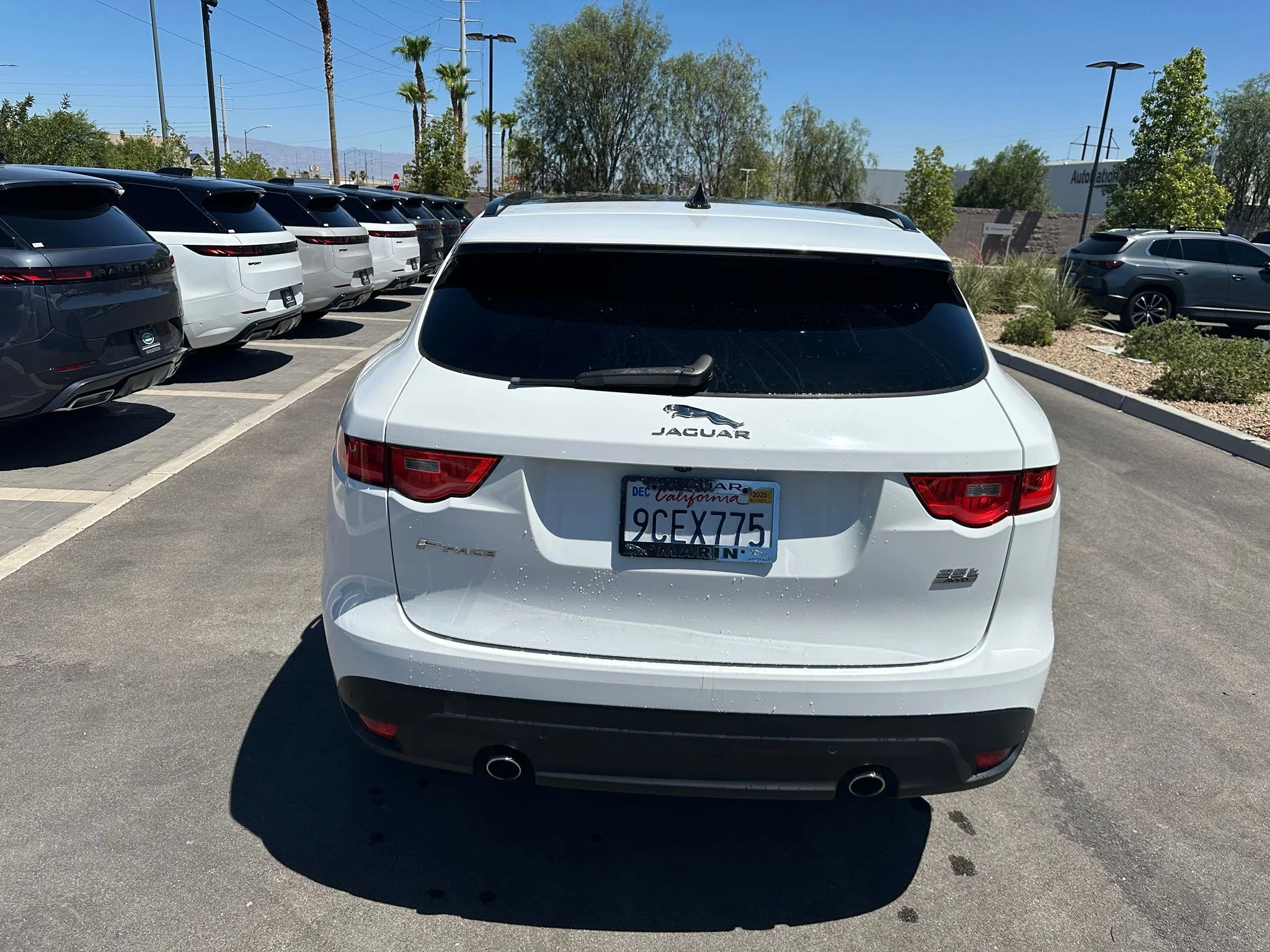 Used 2019 Fuji White Jaguar 25t Prestige image 7