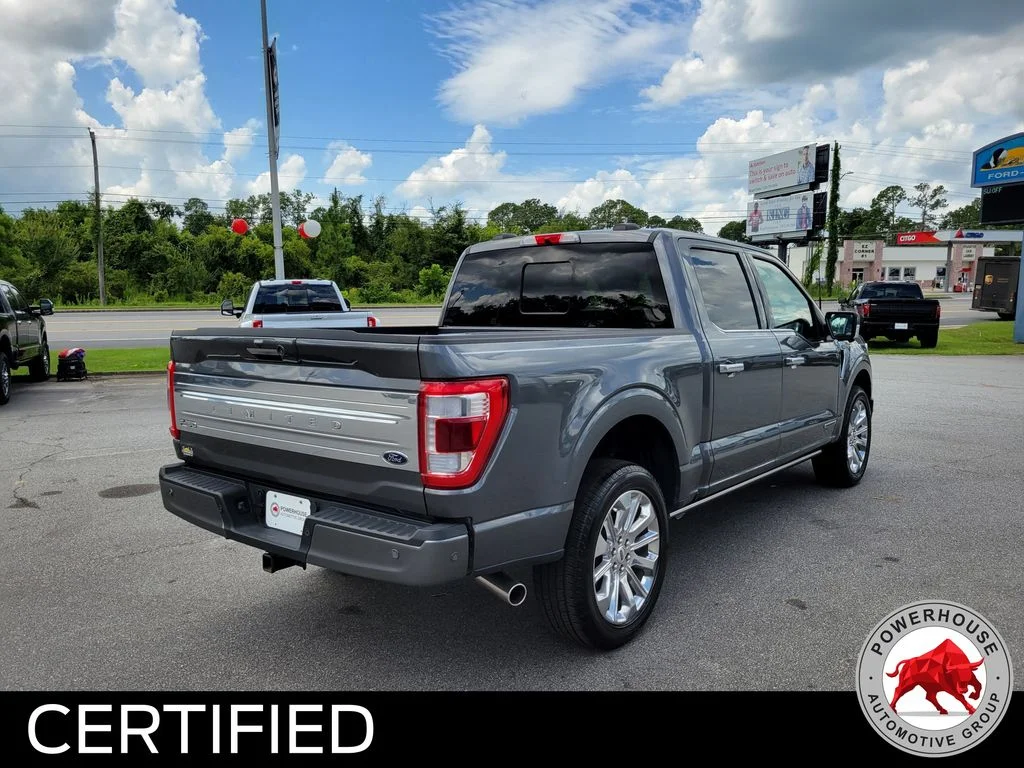 Used 2023 Gray Ford Limited image 5
