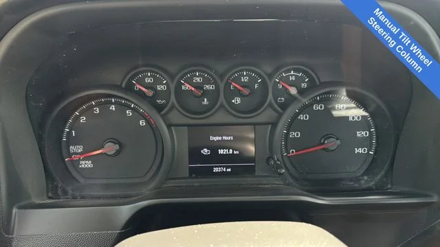 Used 2025 White Chevrolet WT image 13