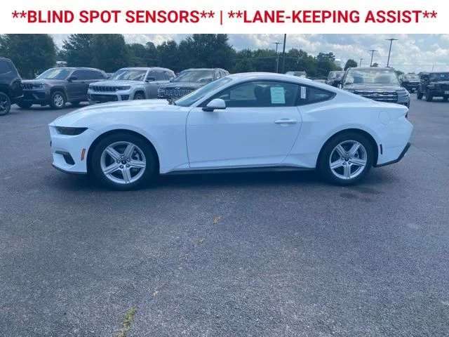 New 2026 Oxford White Ford EcoBoost® Fastback image 5