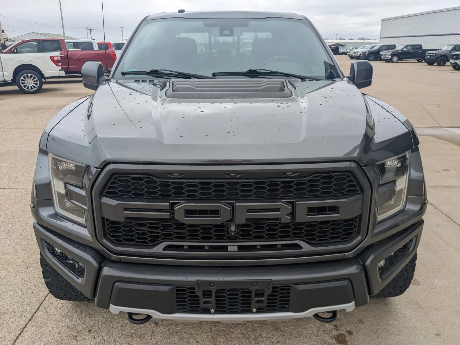 Used 2018 Magnetic Metallic Ford Raptor image 18