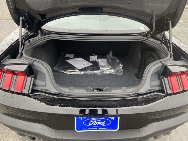 2026 Ford Mustang EcoBoost Premium Fastback - Photo 28