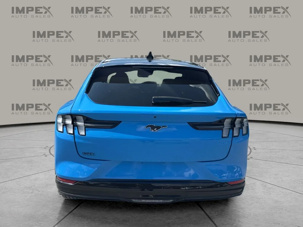 Used 2023 Blue Ford Premium image 4