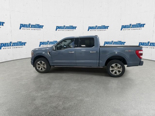 Certified Used 2023 Gray Ford Platinum image 7
