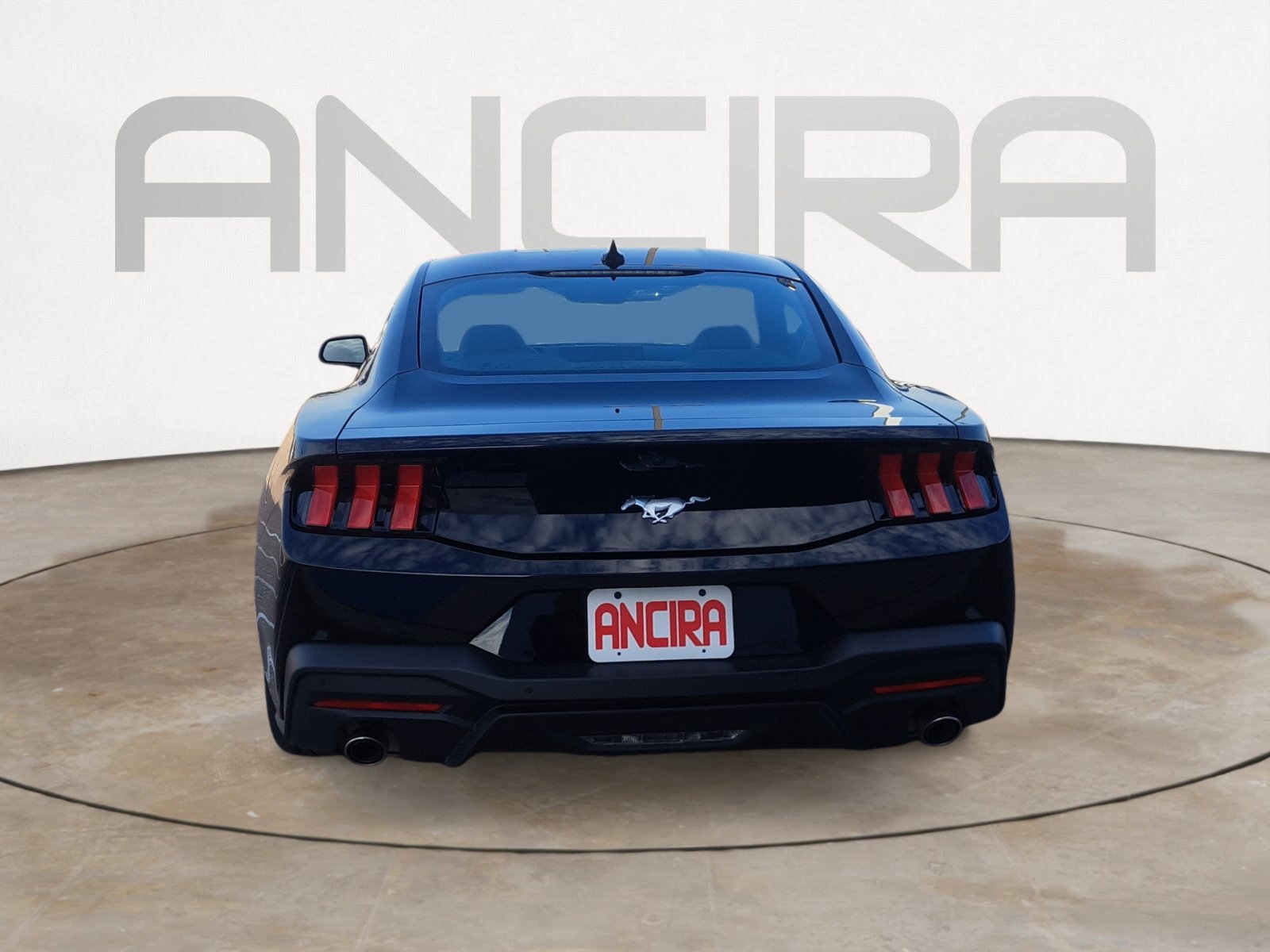 Used 2024 Shadow Black Ford EcoBoost image 9