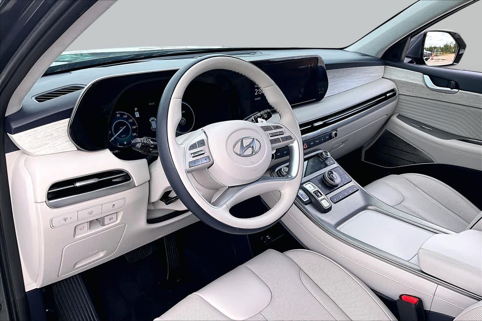 Used 2024 Steel Graphite Hyundai Calligraphy image 18