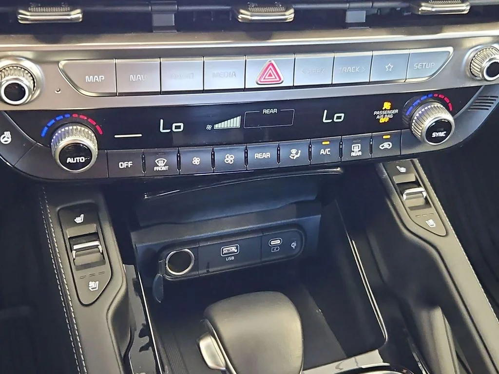 Used 2025 Panthera Metal Kia EX X-Line image 34