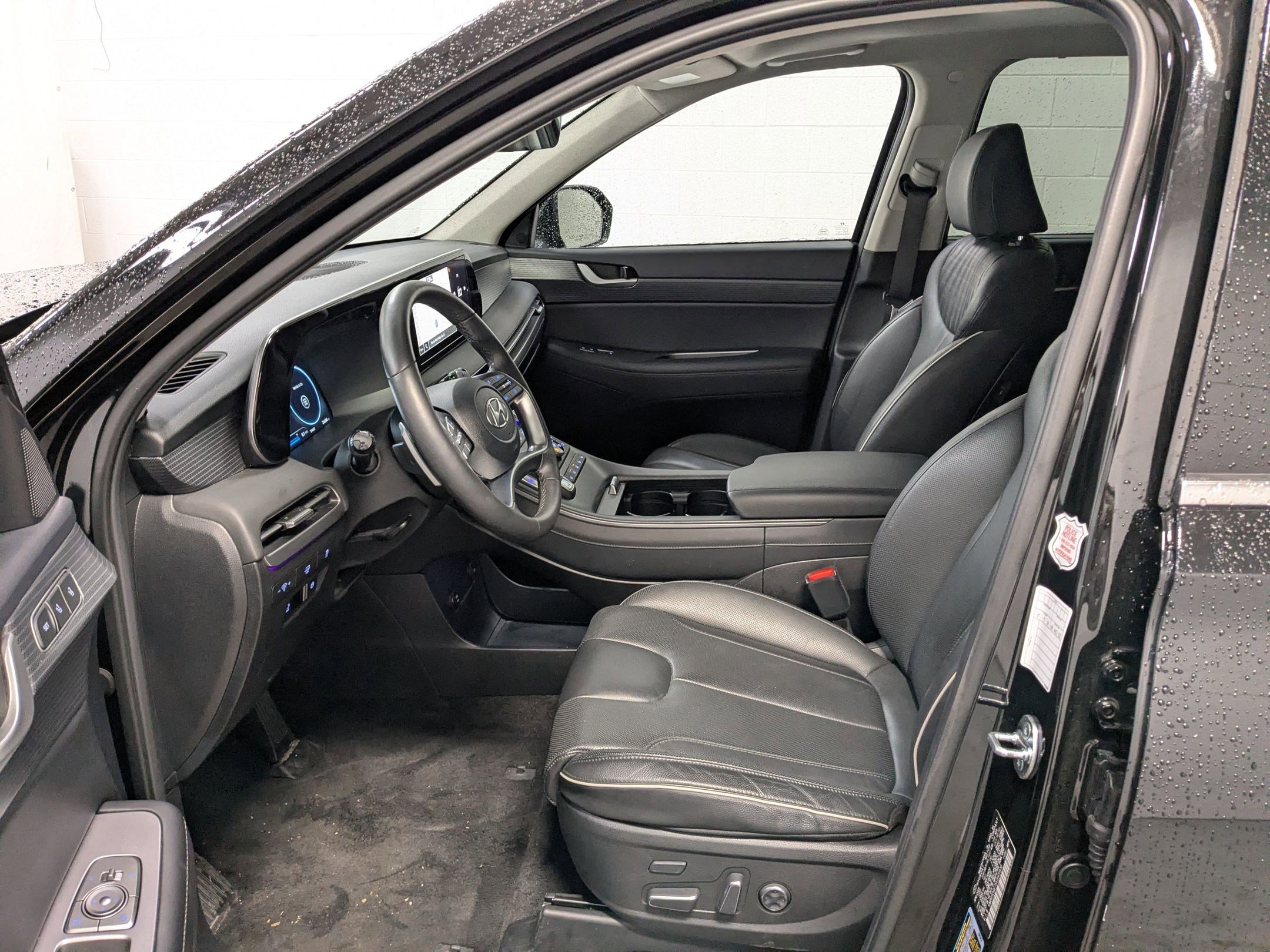 2025 Hyundai Palisade Limited - Photo 29