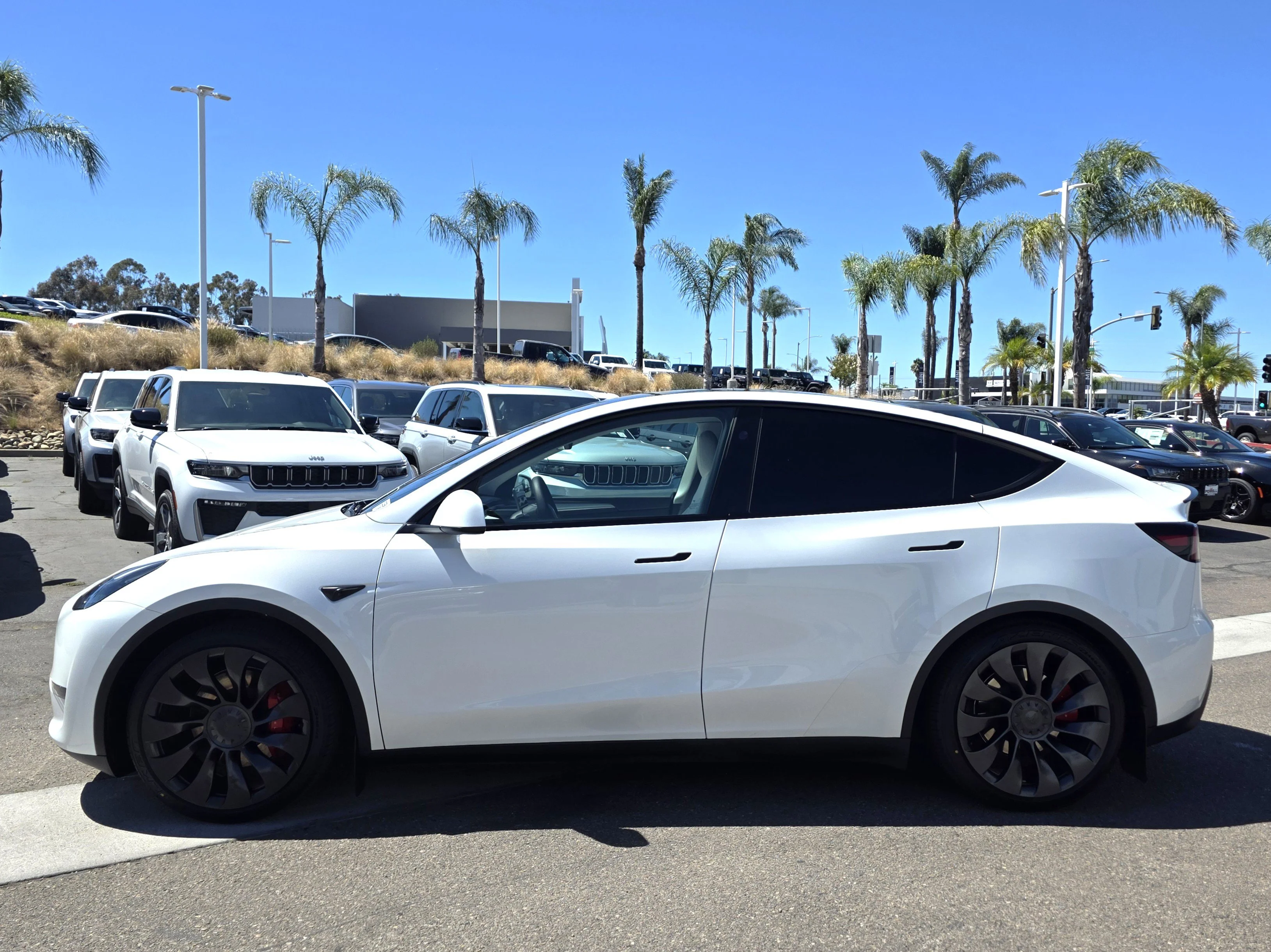 Used 2023 Tesla Model Y Performance with VIN 7SAYGDEF1PF800307 for sale in Escondido, CA