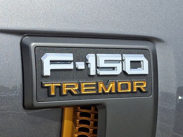 Used 2025 Gray Metallic Ford Tremor image 30