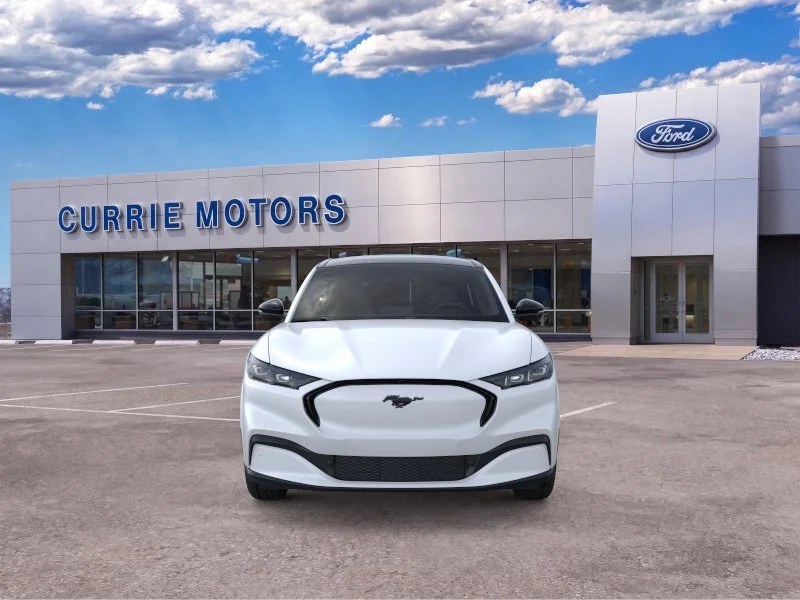 New 2026 Star White Metallic Tri-coat Ford Premium image 28