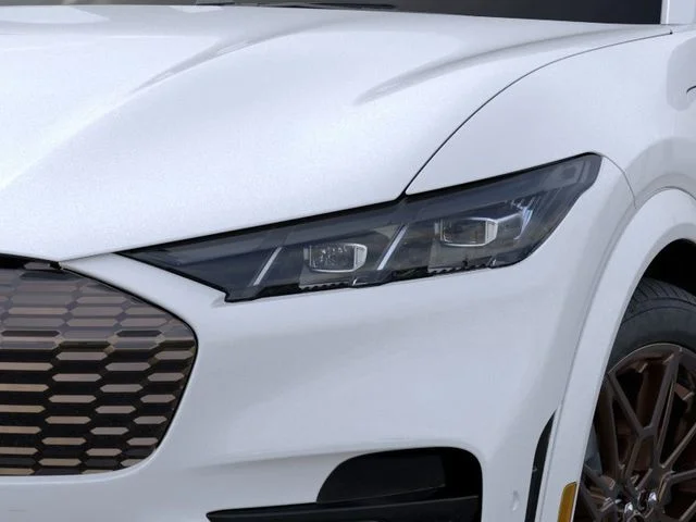 2025 Ford Mustang Mach-E GT - Photo 18