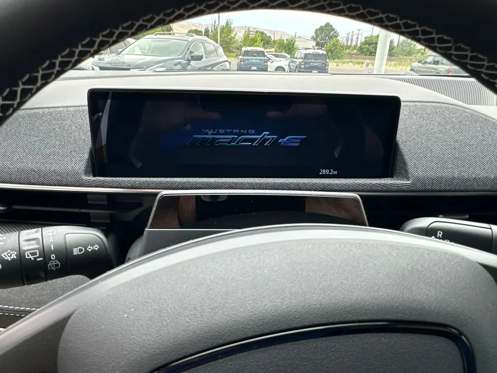 2025 Ford Mustang Mach-E GT - Photo 16