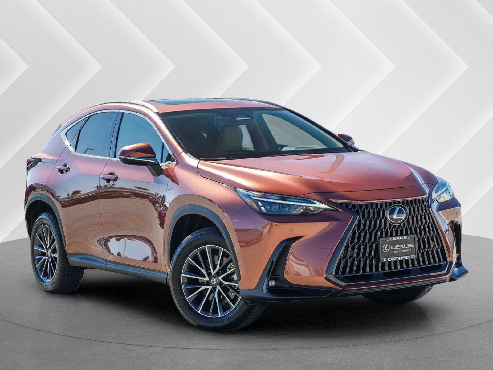 2026 Lexus NX  350 AWD