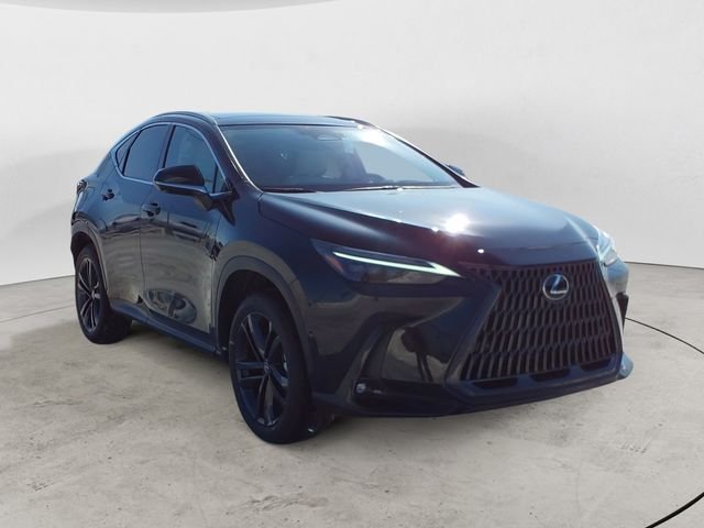 2026 Lexus NX 450h+ Luxury - Photo 7