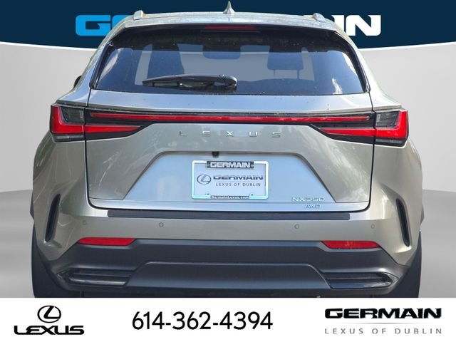 2025 Lexus NX 350 - Photo 8