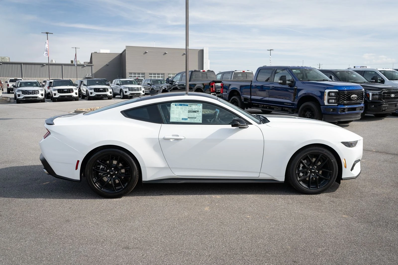 New 2026 Oxford White Ford EcoBoost® Fastback image 11