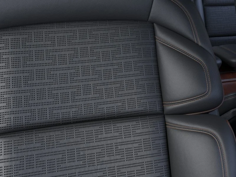 New 2026 Starlight Gray Premium Colorant Lincoln Black Label image 16
